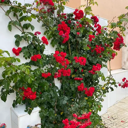 Διαμέρισμα Casa Do Portao Azul - Espadarte Atouguia Da Baleia